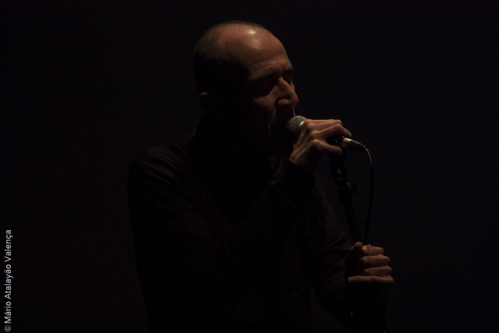fat freddy festival rescaldo mário atalayão valença (16)