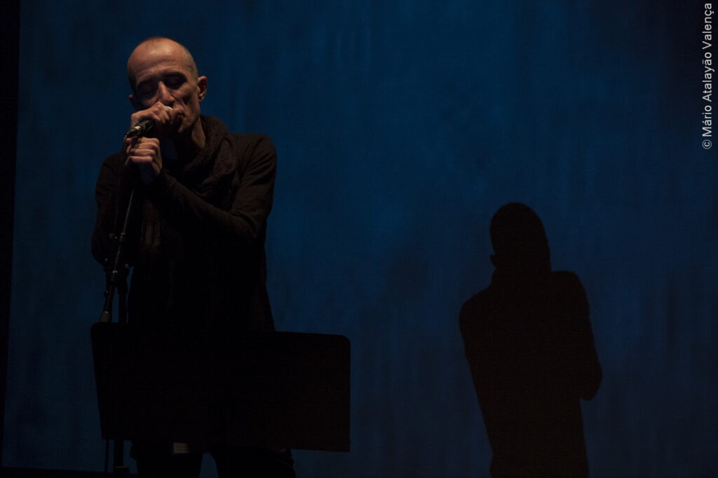 fat freddy festival rescaldo mário atalayão valença (21)